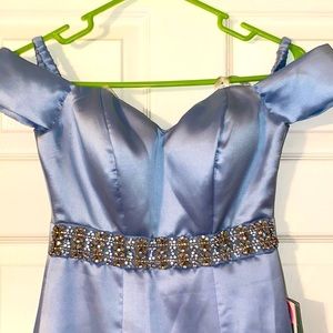 00 Trumpet Style Ballgown Women